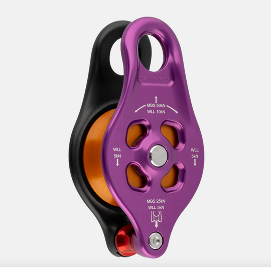 DMM Pinto Rig 2